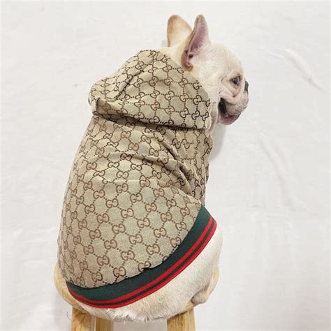 gucci dogs jacket|authentic gucci dog collar.